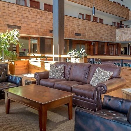 Mountain Delight Apartment Crested Butte Exterior photo